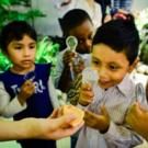 AMNH to Present BUTTERFLY CONSERVATORY Exhibit, Today