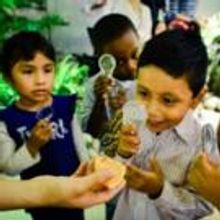 AMNH to Present BUTTERFLY CONSERVATORY Exhibit, Today