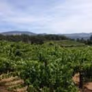 BWW Reviews: A Weekend in Wine Country - Transcendence Theatre, Sonoma Valley Inn…