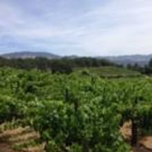 BWW Reviews: A Weekend in Wine Country - Transcendence Theatre, Sonoma Valley Inn, Wi