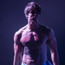 Photo Coverage: WEST END BARES 2015 - 'TAKE OFF' Featuring Graham Norton, Michelle Visage, Beverley Knight And More!