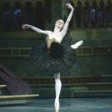 BWW Reviews: American Ballet Theatre's 'Swan Lake' Still Special