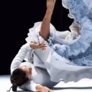 ORIGAMI, Rocio Molina's FALLEN FROM HEAVEN and More Slated for Dance Umbrella 2017…
