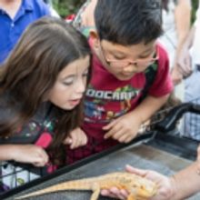 LA Zoo's Family Jam Evening to Feature Disney's PETE'S DRAGON Photo Op & More