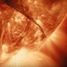 VIDEO: First Look - Brad Pitt Narrates Terrence Malick's Documentary VOYAGE OF TIME