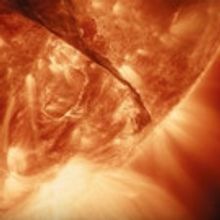 VIDEO: First Look - Brad Pitt Narrates Terrence Malick's Documentary VOYAGE OF TIME