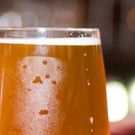 Chicago Opera Theater Presents BEERS & BARITONES: A BAR NIGHT WITH THE BARD at Mad…