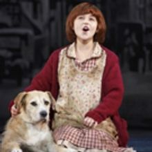 BWW Review: ANNIE at Shea's Buffalo Theatre