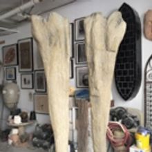 Dumbo Improvement District Presents Leonard Ursachi's DRIFT