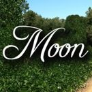 Playhouse on the Square to Conclude 2015-16 Season with MOON VINE