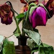 Finborough Theatre Presents of DR. ANGELUS