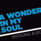 Victory Gardens to Stage World Premiere of Marcus Gardley's A WONDER IN MY SOUL