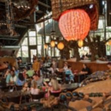 Marinas Menu: New Dining Concepts at WDWs Animal Kingdom