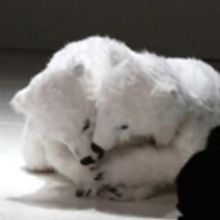 BWW Review: TIME FOR US Connects with Atlanta Audiences