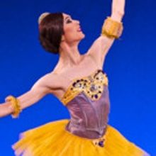 4th Annual Hudson Valley Dance Festival Raises Record-Breaking $136,767