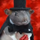 TEN-FOOT RAT CABARET to Play UNDER St. Marks 11/2