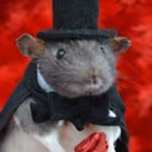 TEN-FOOT RAT CABARET to Play UNDER St. Marks 11/2