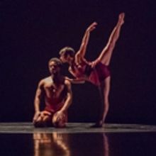 36th Annual Battery Dance Festival Announces August Lineup