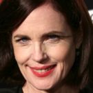 DOWNTON ABBEY Star Elizabeth McGovern Will Lead TIME AND THE CONWAYS on Broadway…