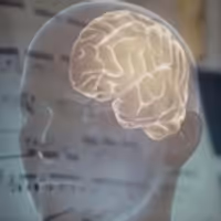VIDEO: Study Asks If Musical Taste Is Cultural or Biological Video