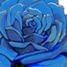 Jono Manson Joins John Oates, Nicki Bluhm & More for Blue Rose Foundation Benefit
