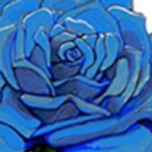 Jono Manson Joins John Oates, Nicki Bluhm & More for Blue Rose Foundation Benefit