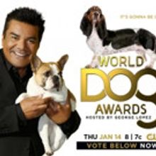 Todrick Hall, Pentatonix & More Join WORLD DOG AWARDS Line-Up