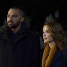 BWW Recap: Jackson and April Take on Montana in this Week's GREY'S ANATOMY