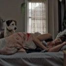 Animal Inc.'s Downward Dog is First-Ever Network Show to Premiere at Sundance Film…