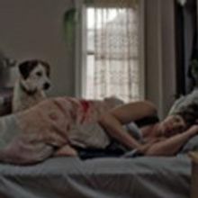 Animal Inc.'s Downward Dog is First-Ever Network Show to Premiere at Sundance Film…
