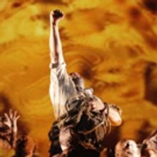 Francesca Zambello to Direct San Francisco Opera's DER RING DES NIBELUNGEN - Full Cas