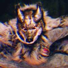 NJ Civic Youth Ballet Announce PETER AND THE WOLF and New Original Ballet THE MAGIC T