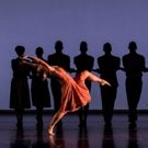 Dallas Black Dance Theatre to Return to NYC for American Dance Platform