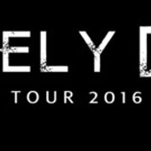 Steely Dan Announces Spring Tour Dates & Summer Tour with Steve Winwood