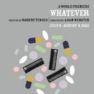 World Premiere of Robert Tenges' WHATEVER Plays the side project, Now thru 8/9