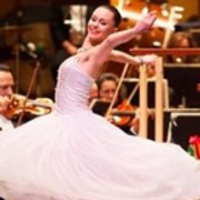 Strauss Symphony Presents SALUT TO VIENNA New Years Concert, 12/30