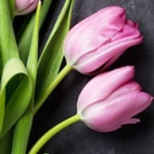 Love Creek Productions presents SPRING OFFERINGS