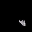 Bob Moses Performs on ELLEN; North American Tour Dates Announced