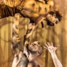 BWW Interview: Ella Spira and Pietra Mello-Pittman Talk VOICES OF THE AMAZON
