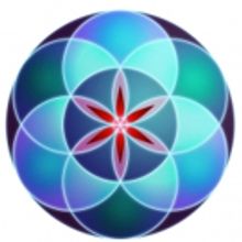 PSYCHEDELIC SHINE with Dennis McKenna Set for This Winter at Boulder Theater