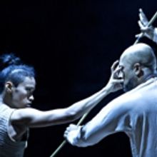 BWW Review: Akram Khan Company's UNTIL THE LIONS at the Luminato Festival