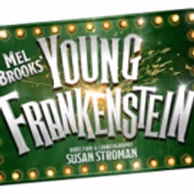 Mel Brooks' YOUNG FRANKENSTEIN to Open in the West End Autumn 2017