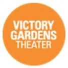 Victory Gardens' SUCKER PUNCH Begins Tonight