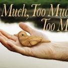 Williamston Theatre to Stage TOO MUCH, TOO MUCH, TOO MANY, 1/28-2/28