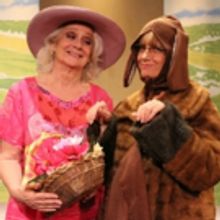 BWW Review: Rarely Seen in the US CALENDAR GIRLS Sheds a Delicious Naughtiness at Gro