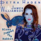 The Stooges' James Williamson Premieres New Single with Petra Haden