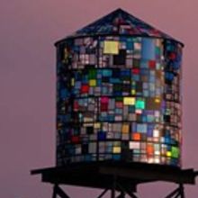 Brooklyn Bridge Park Conservatory Announces 2017 Spring, Summer Exhibits