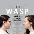 Golden Jam Productions Sets Australian Premiere of THE WASP For Sydney Fringe