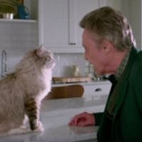 VIDEO: First Look - Kevin Spacey Stars as a Businessman Turned Into a Cat in NINE… Video