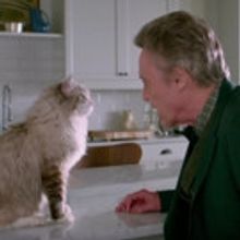 VIDEO: First Look - Kevin Spacey Stars as a Businessman Turned Into a Cat in NINE…